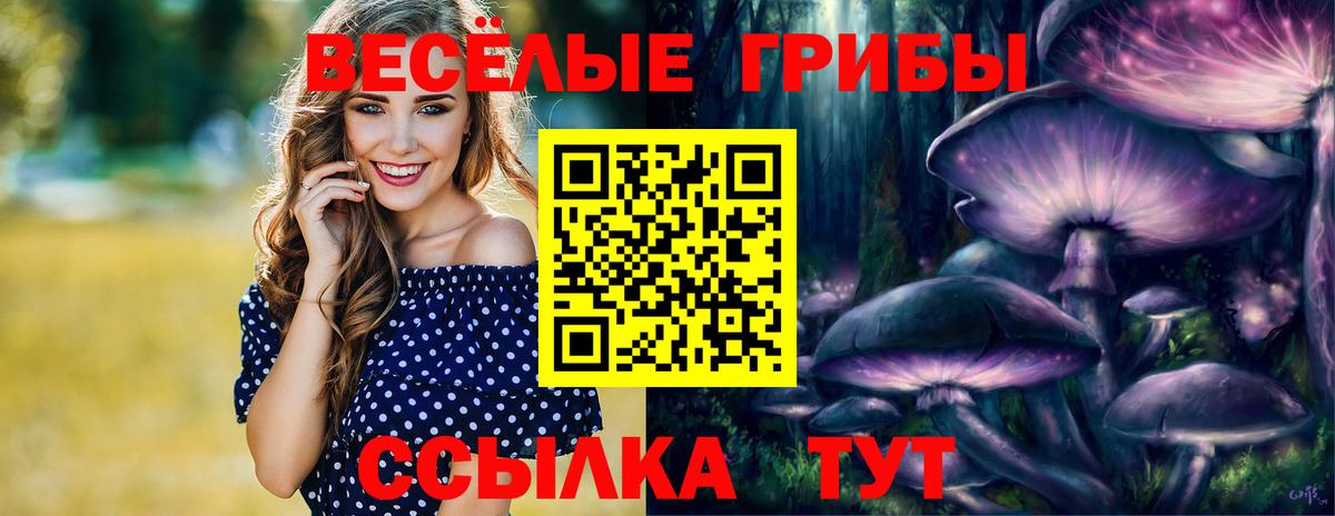 Псилоцибиновые грибы GOLDEN TEACHER Скопин