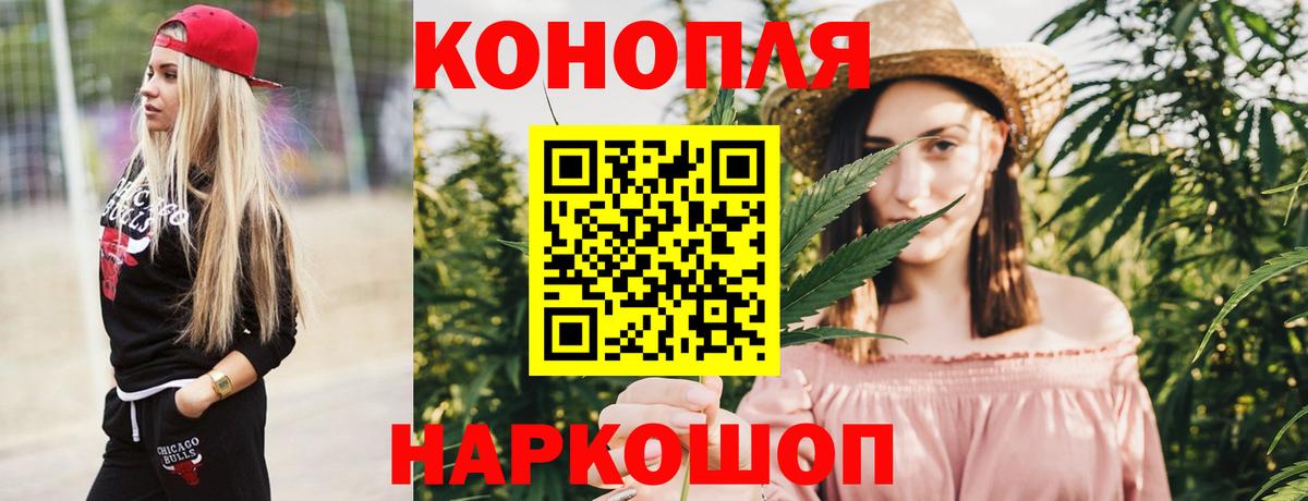 Бошки Шишки планчик Скопин